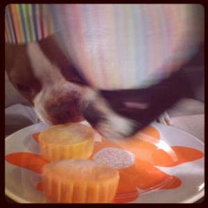 frosty treat massacre